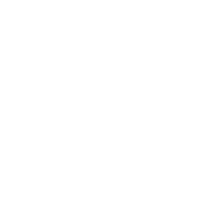 Torq.png